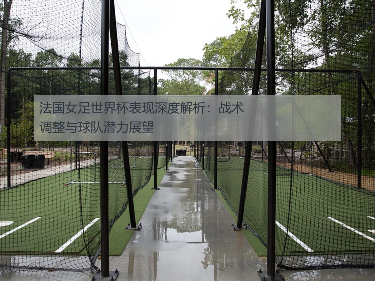 法国女足世界杯表现深度解析：战术调整与球队潜力展望